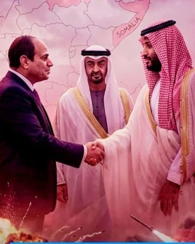 السيسى يحذر من أى كيانات موازية ويؤكد وحدة مؤسسات الدول فى الجوار     كتبت / شهد الأسد 